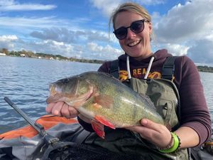 European Perch