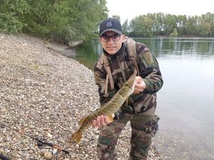 Northern Pike
