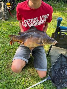 Mirror Carp