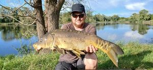 Mirror Carp
