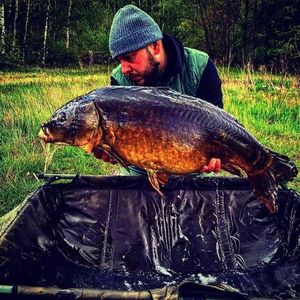 Leather Carp