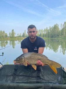 Common Carp