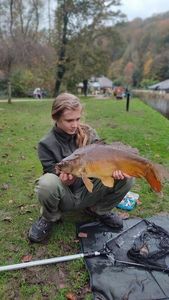 Common Carp