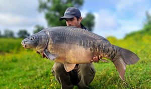 Mirror Carp