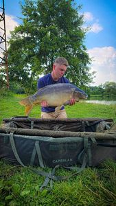 Mirror Carp