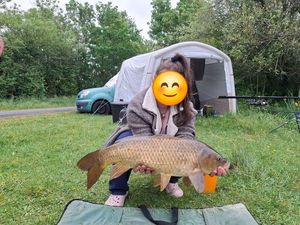 Common Carp