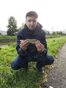 Zander