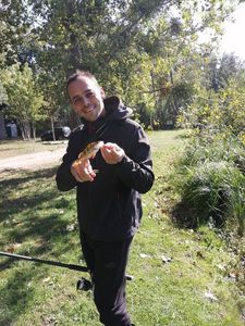 European Perch