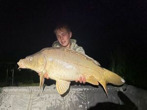 Mirror Carp