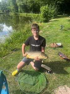 Mirror Carp