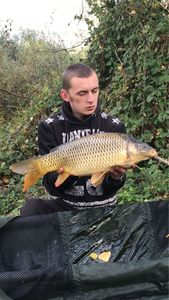 Common Carp