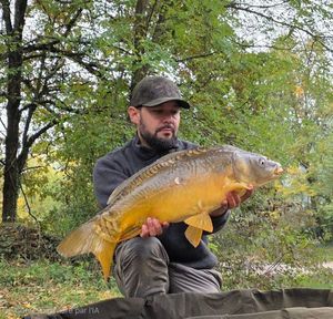 Mirror Carp