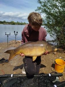 Mirror Carp