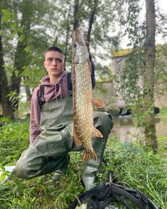 Northern Pike