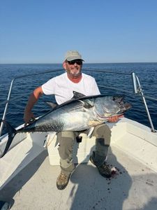 Bluefin Tuna