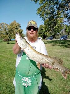 Northern Pike