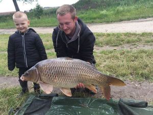 Common Carp