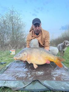 Mirror Carp