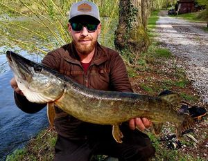 Northern Pike