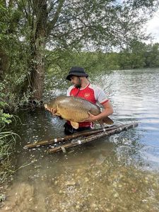 Mirror Carp