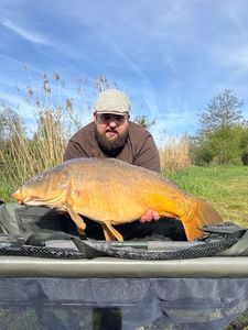 Mirror Carp