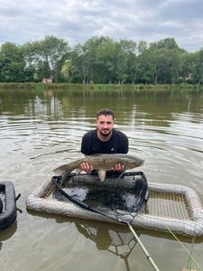 Grass Carp