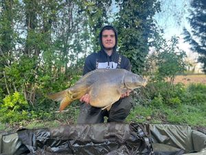 Mirror Carp