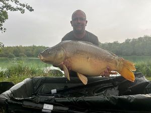 Mirror Carp