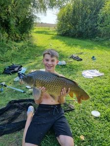 Common Carp
