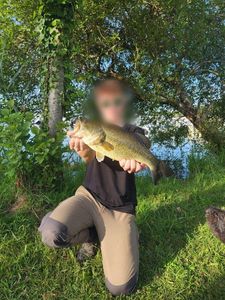 Smallmouth Bass