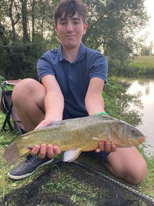 Tench