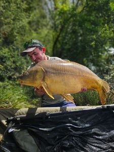 Mirror Carp