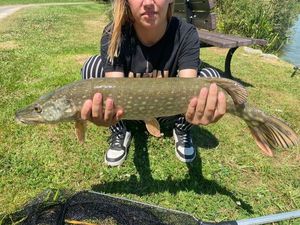 Northern Pike