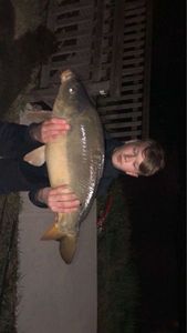 Leather Carp