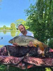 Common Carp