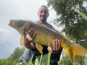 Mirror Carp