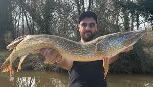 Northern Pike