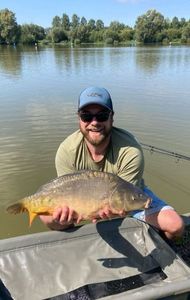 Mirror Carp