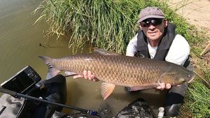 Grass Carp