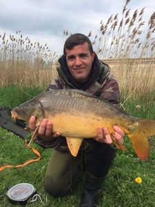 Mirror Carp