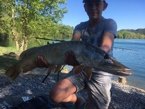Northern Pike