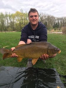 Common Carp