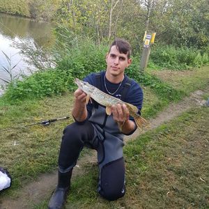 Northern Pike