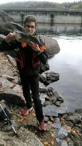 European Perch