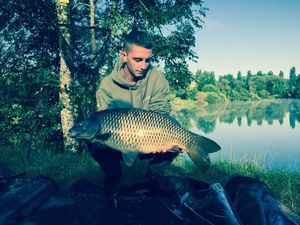 Common Carp
