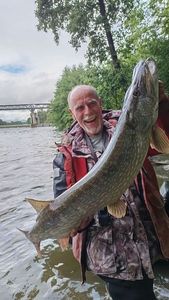 Northern Pike