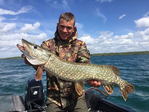 Northern Pike