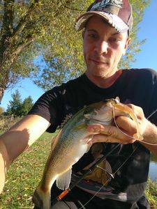 Largemouth Bass