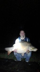 Mirror Carp