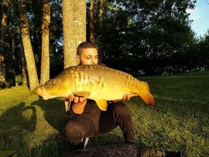 Mirror Carp